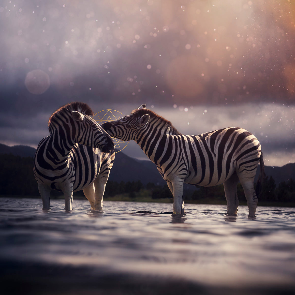 Giclee prints by Marisa S White