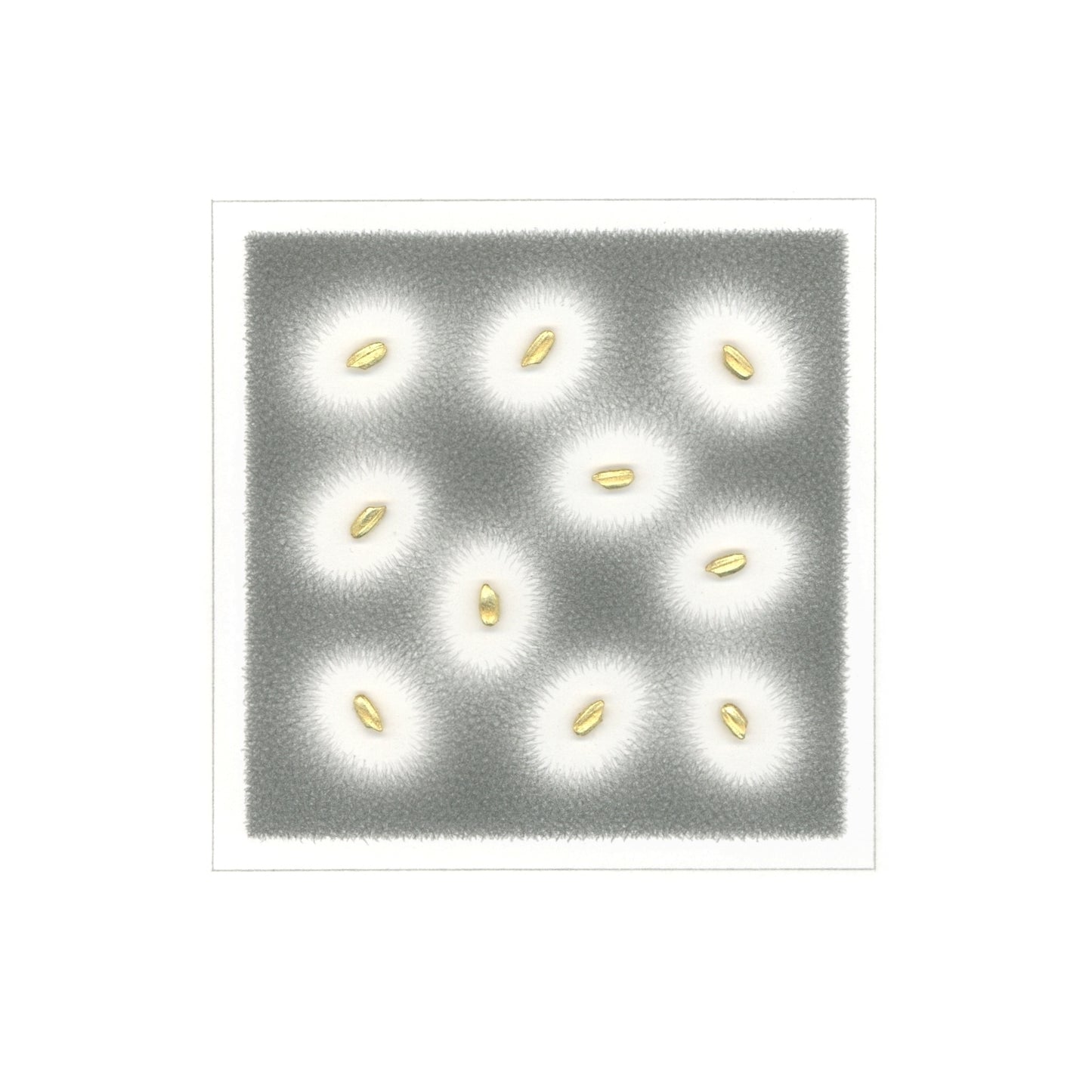 Notation 20-21 (for Boulder KS)