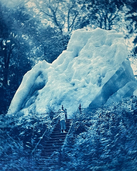 Lost Iceberg