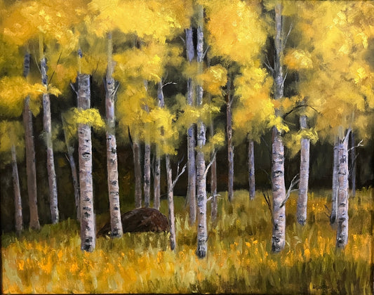 Aspen Forest