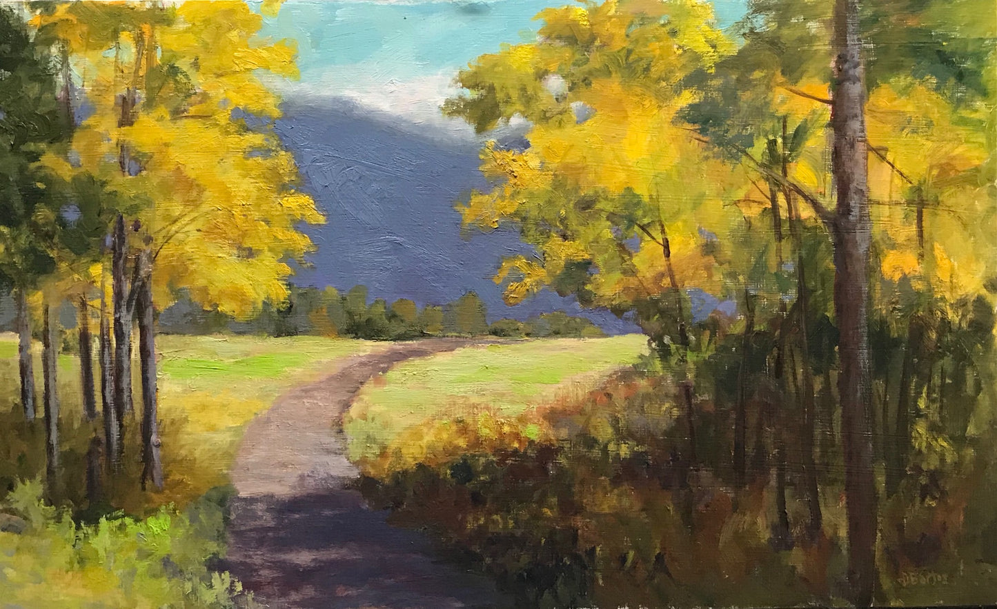 Aspen Open Space