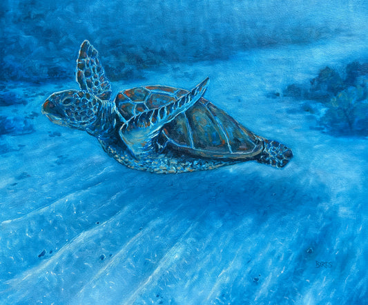 Life Underwater