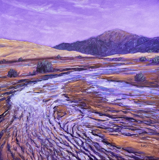 Medano Creek