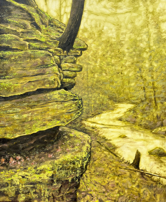 Western PA Roots