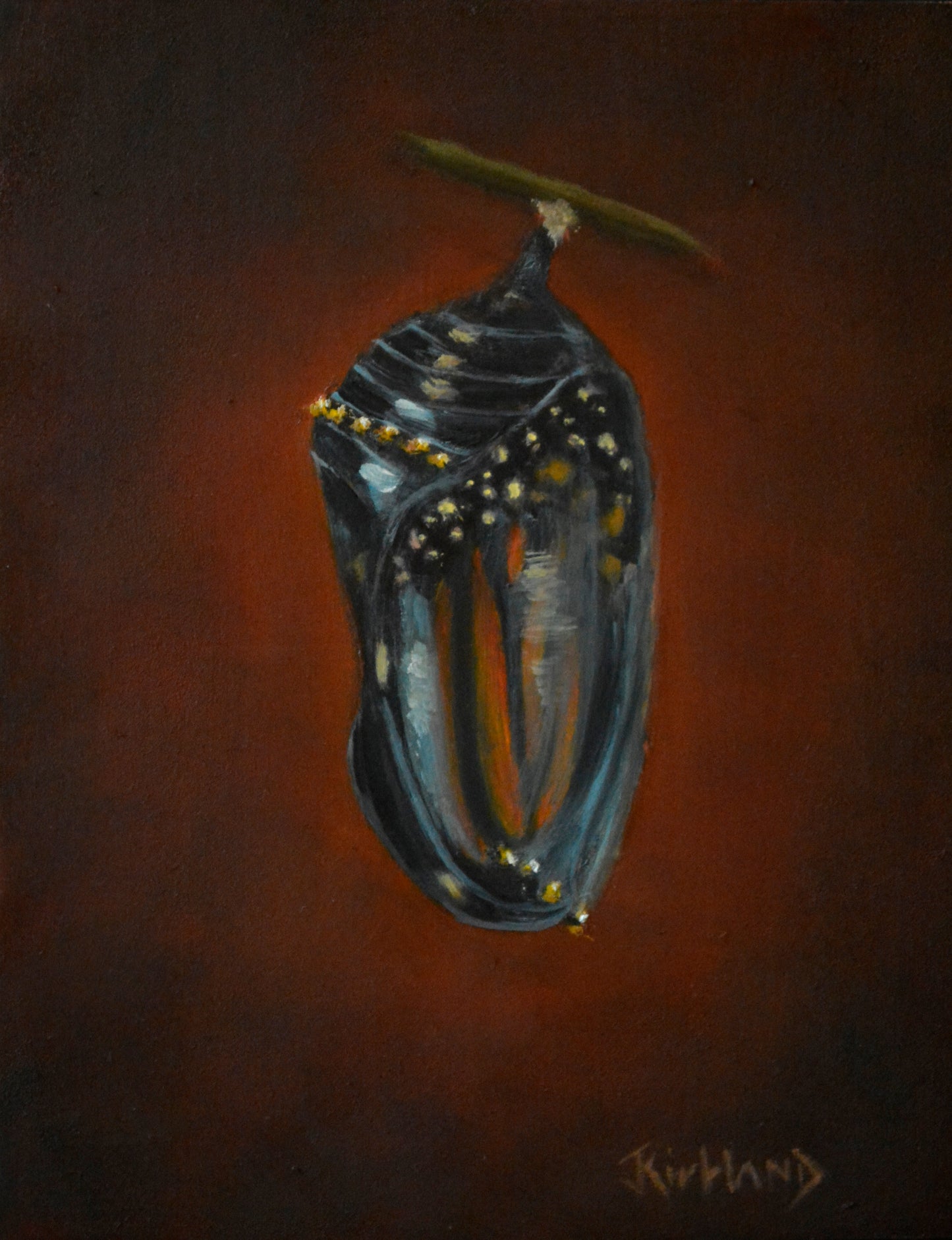 Chrysalis