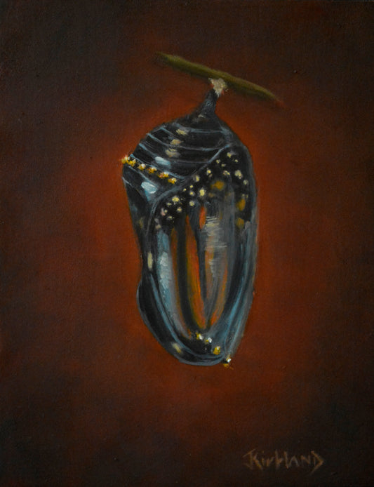 Chrysalis