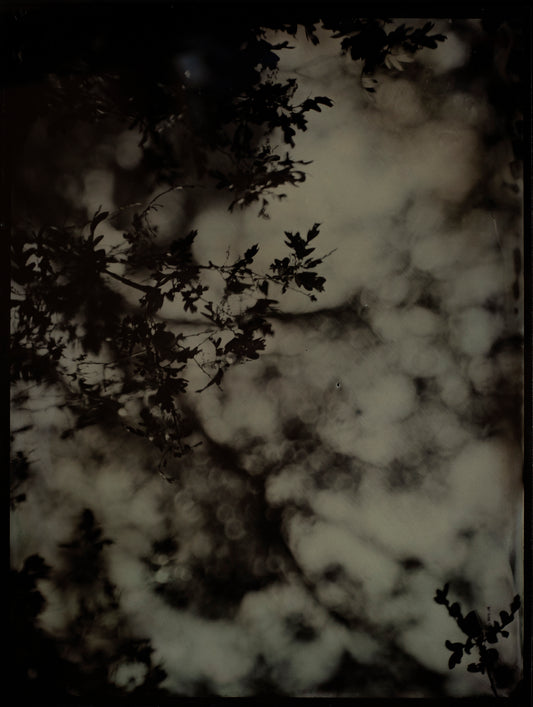 Clouded Thoughts