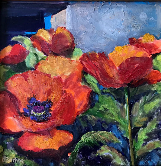 Gallery Poppies-Taos