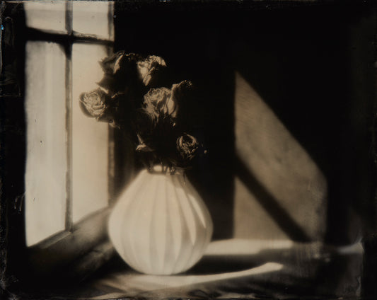 Dried Roses in the Sun