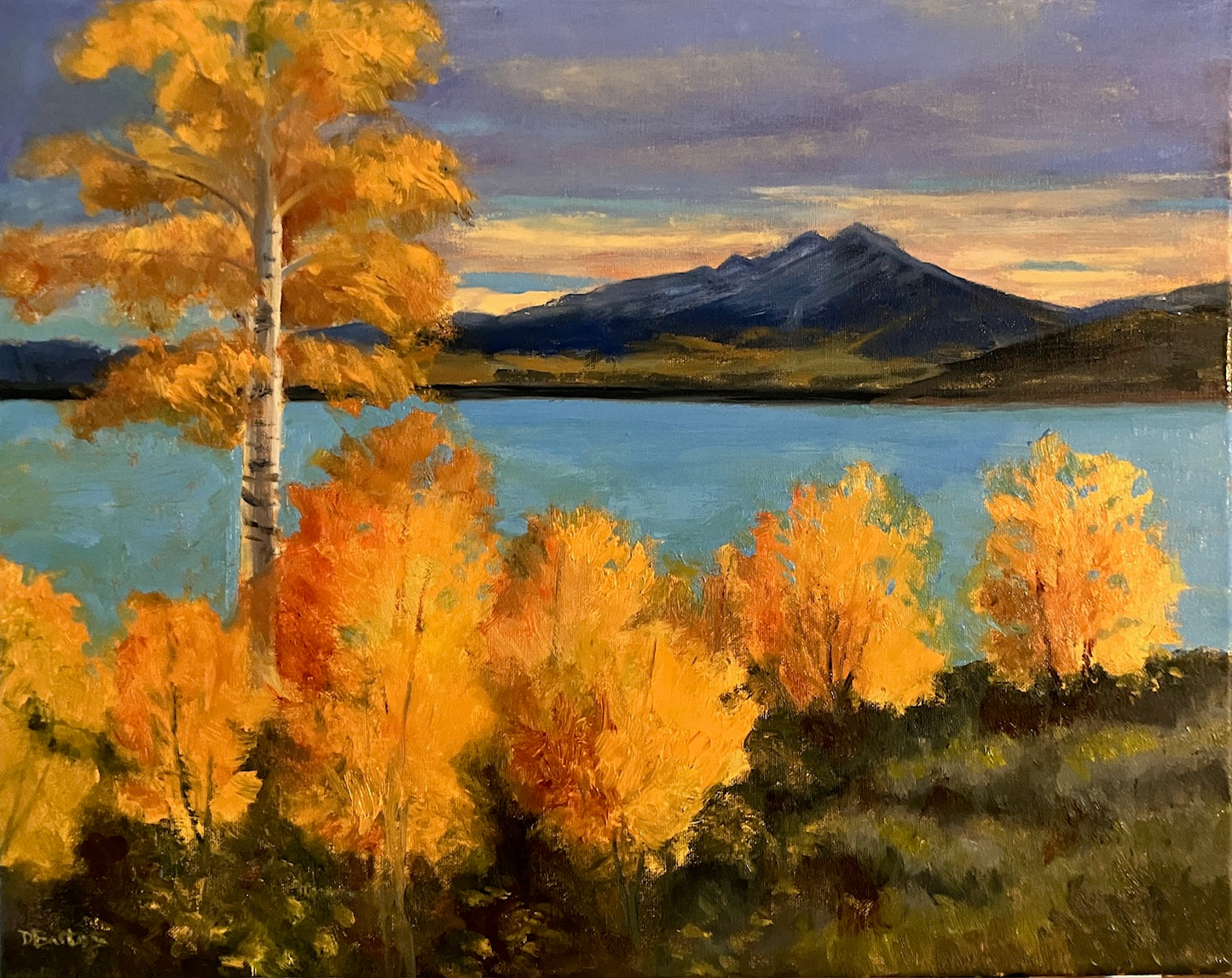 Dillon Fall