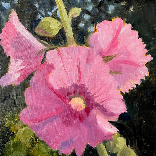 Pink Hollyhock