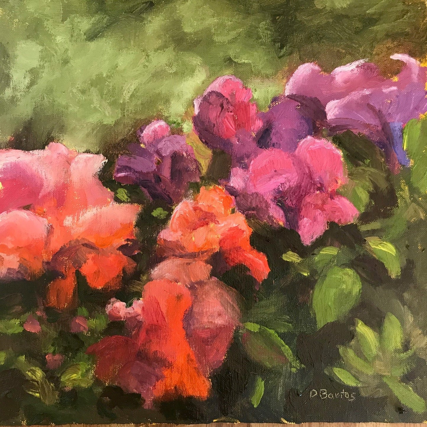 Summer Snapdragons