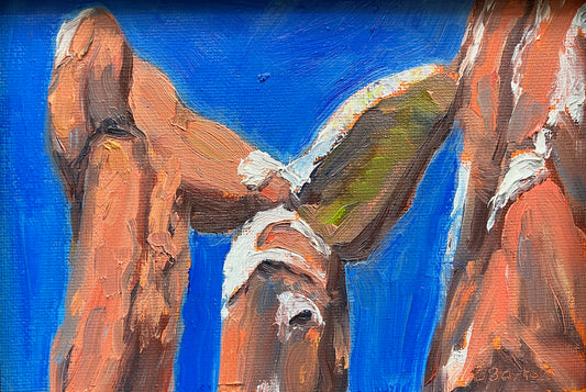 Up Close and Personal in the Garden 4