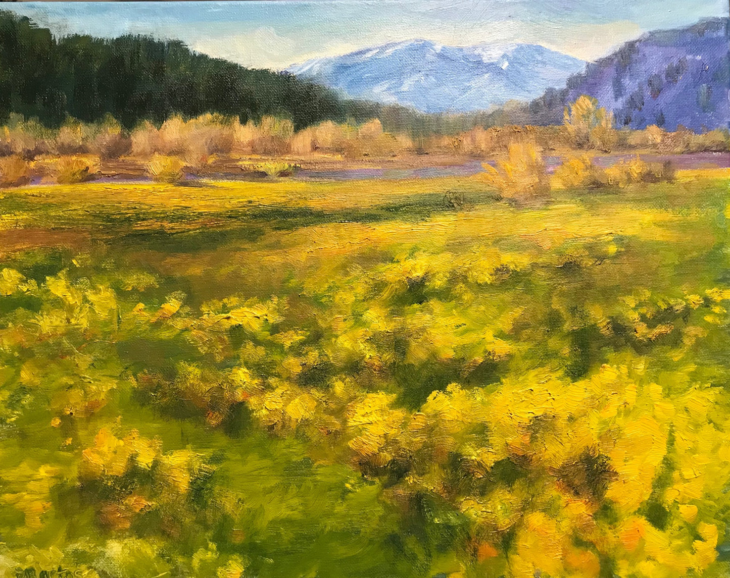 Telluride Spring