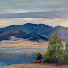 Eleven Mile Reservoir