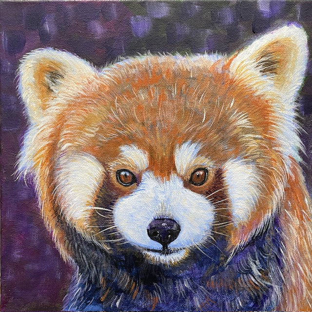 Red Panda