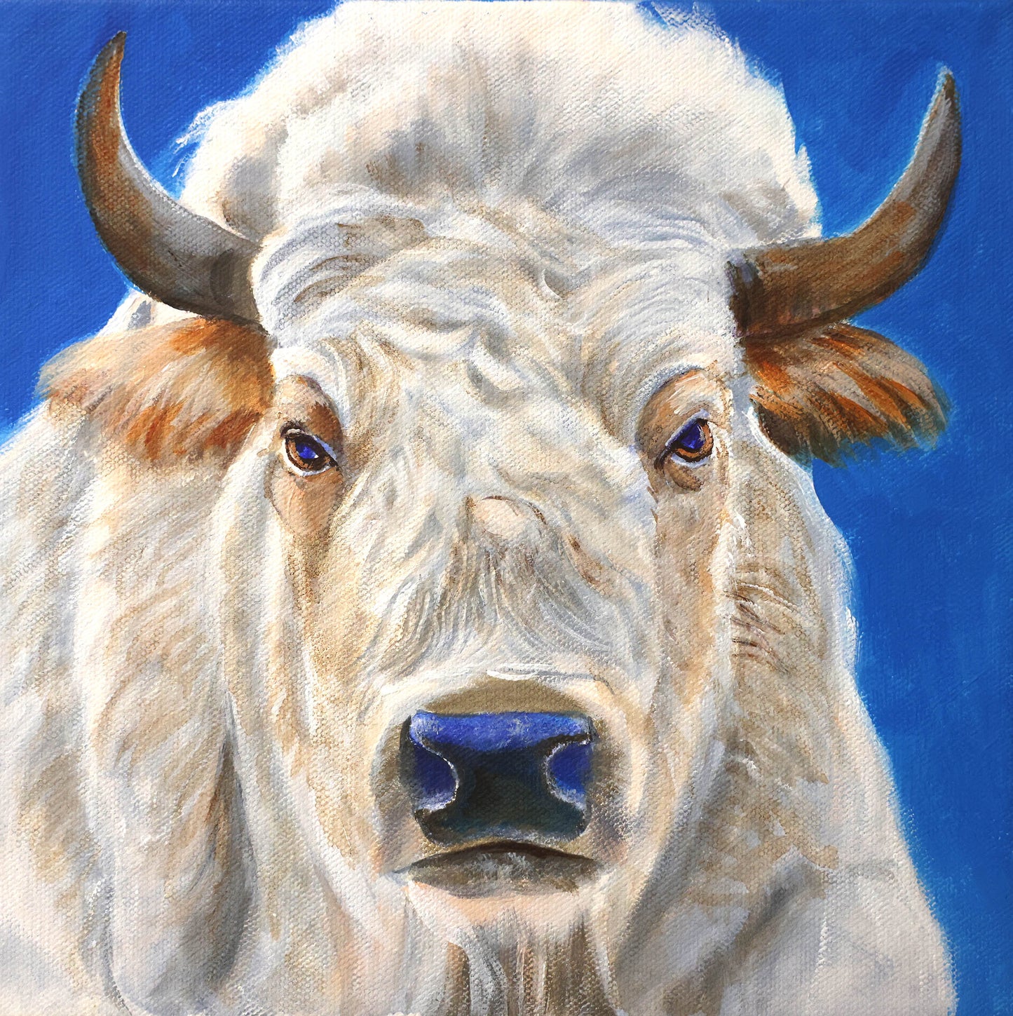 White Bison