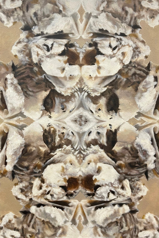 Haagen-Dazs Chocolate Chip Cookie Dough