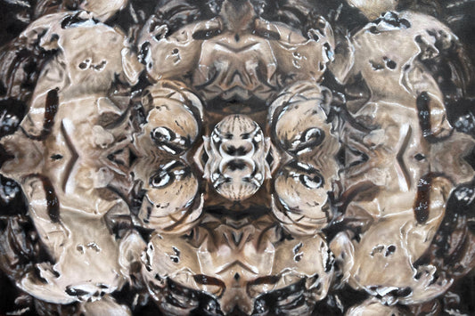 Josh & John's Colorado Cookies & Cream