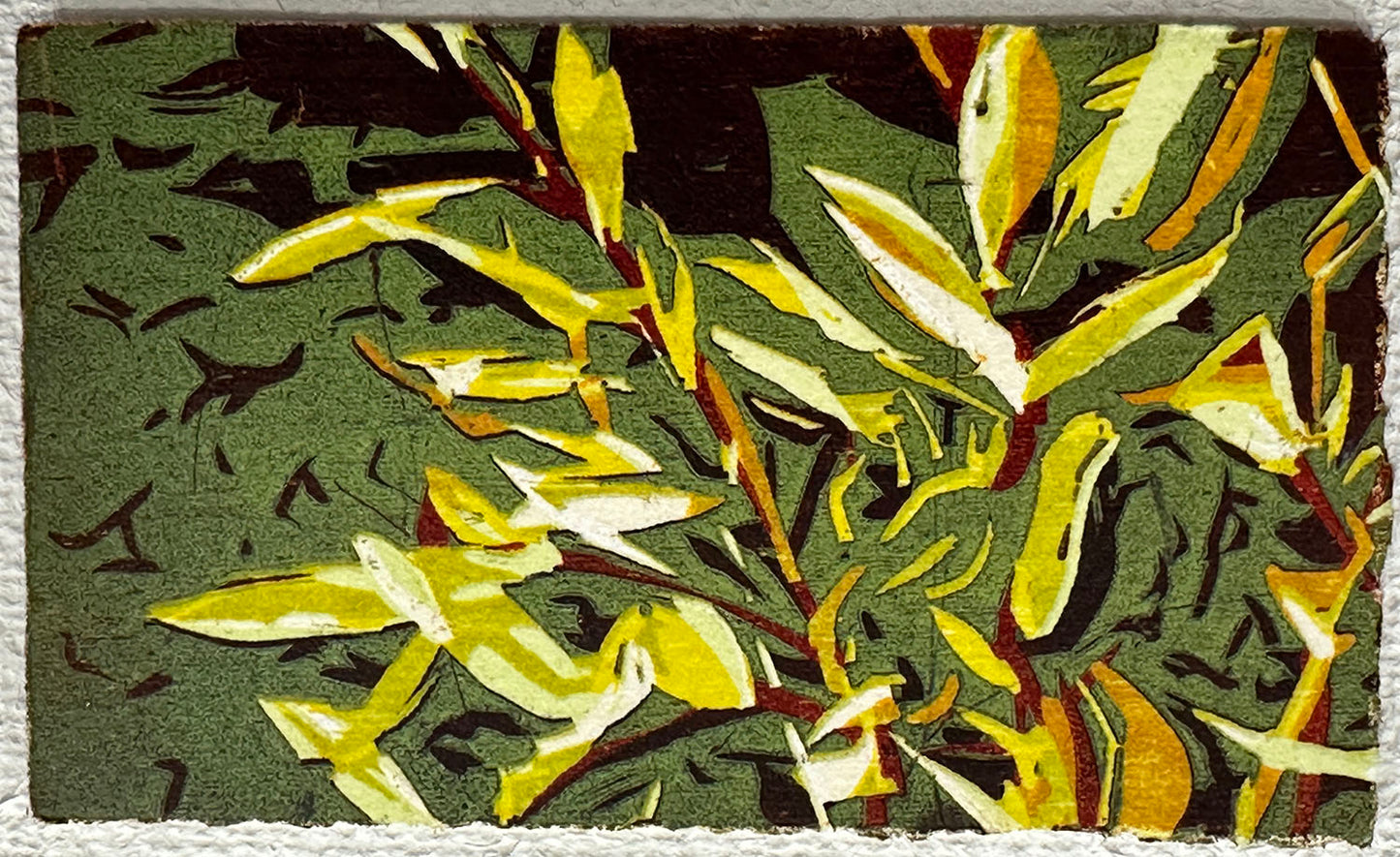 Grasses