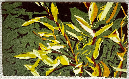 Grasses