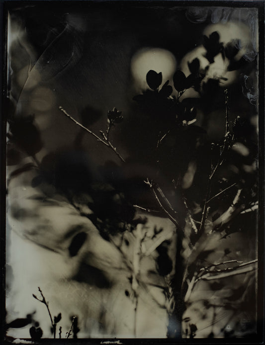Forfeit to the Seasons