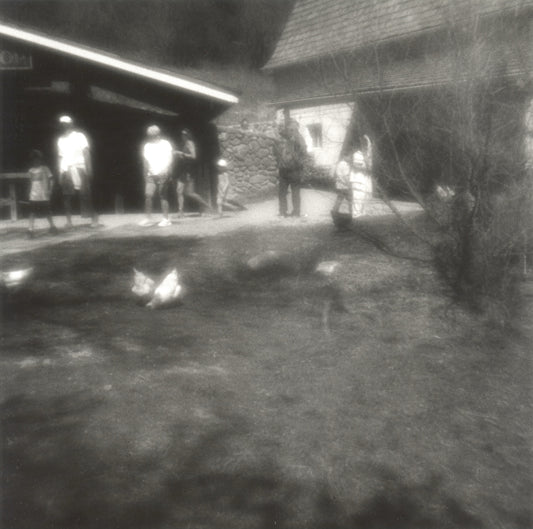 Free Range