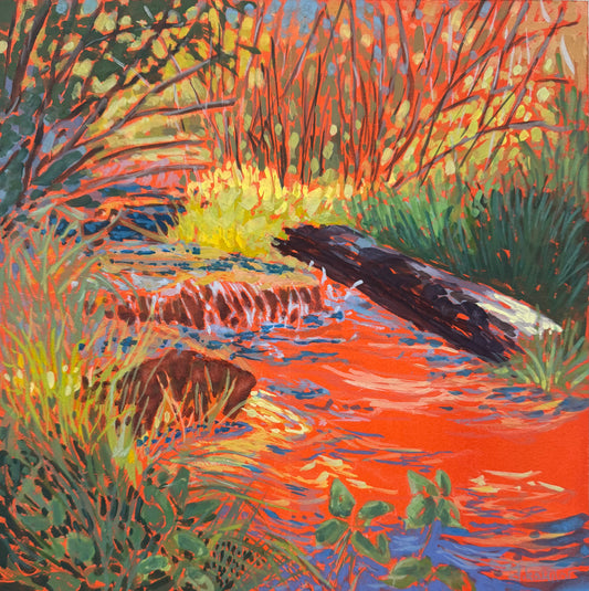 Gentle Flow of a Mountain Stream