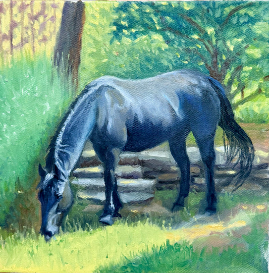 Dappled Peace