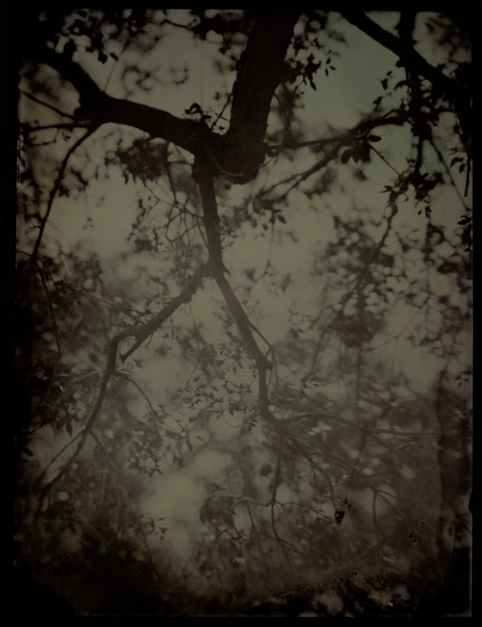 Jagged Memories