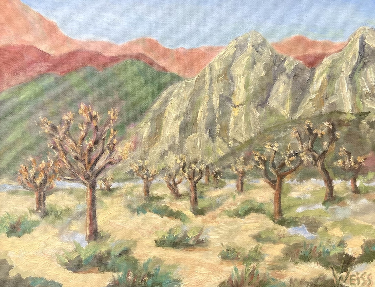 Joshua Trees