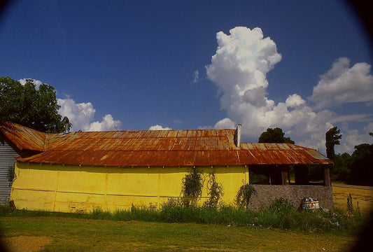 Holly Springs, Mississippi, 1995