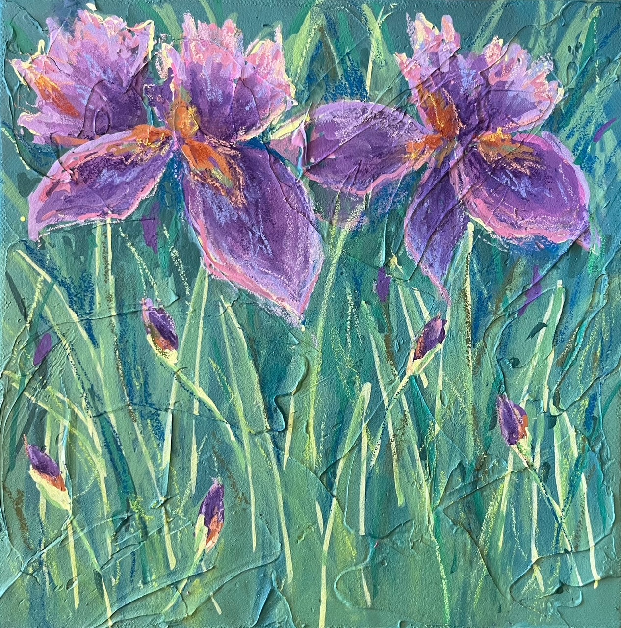 Iris Delights