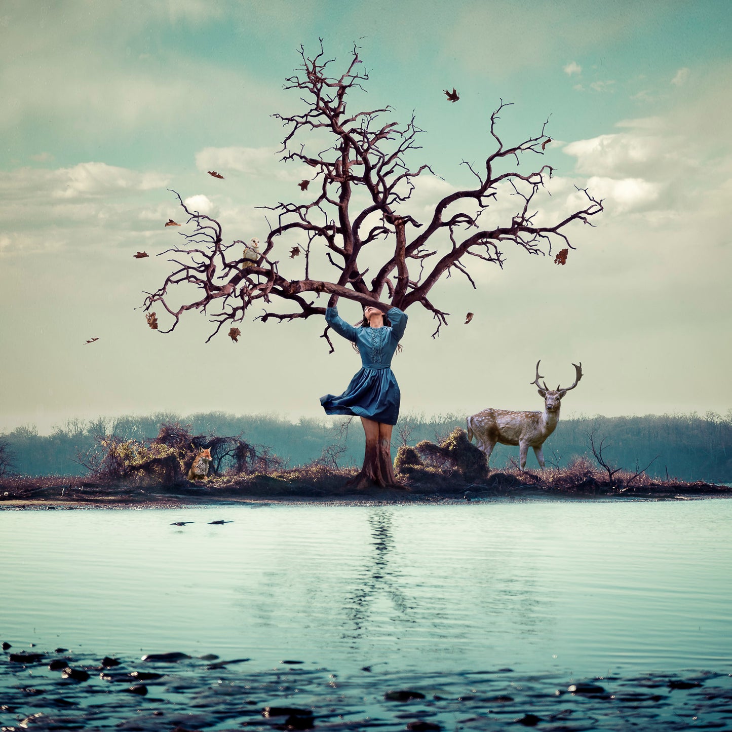 Giclee prints by Marisa S White