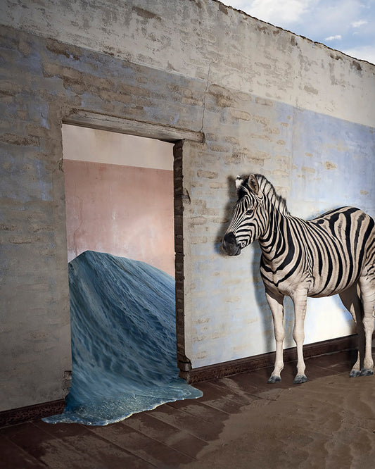 zebra fine art