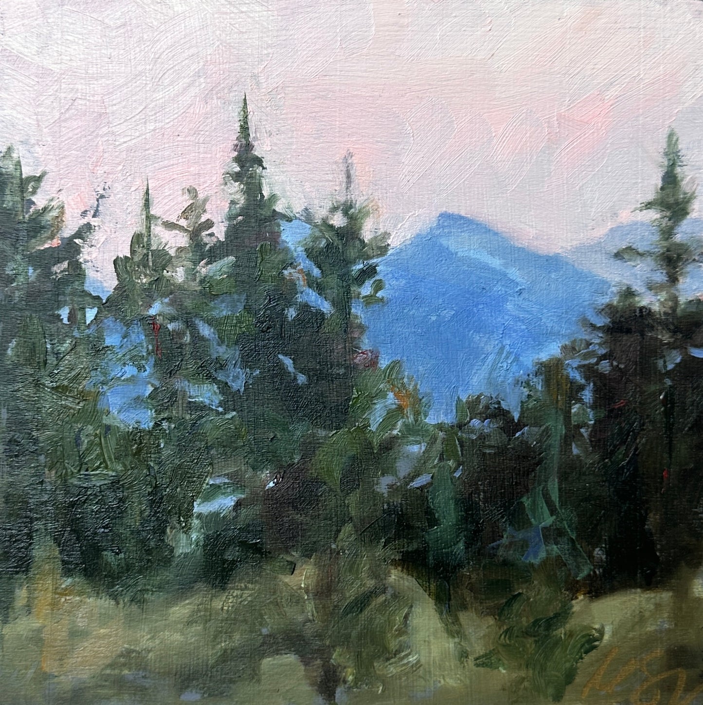 Between the Pines