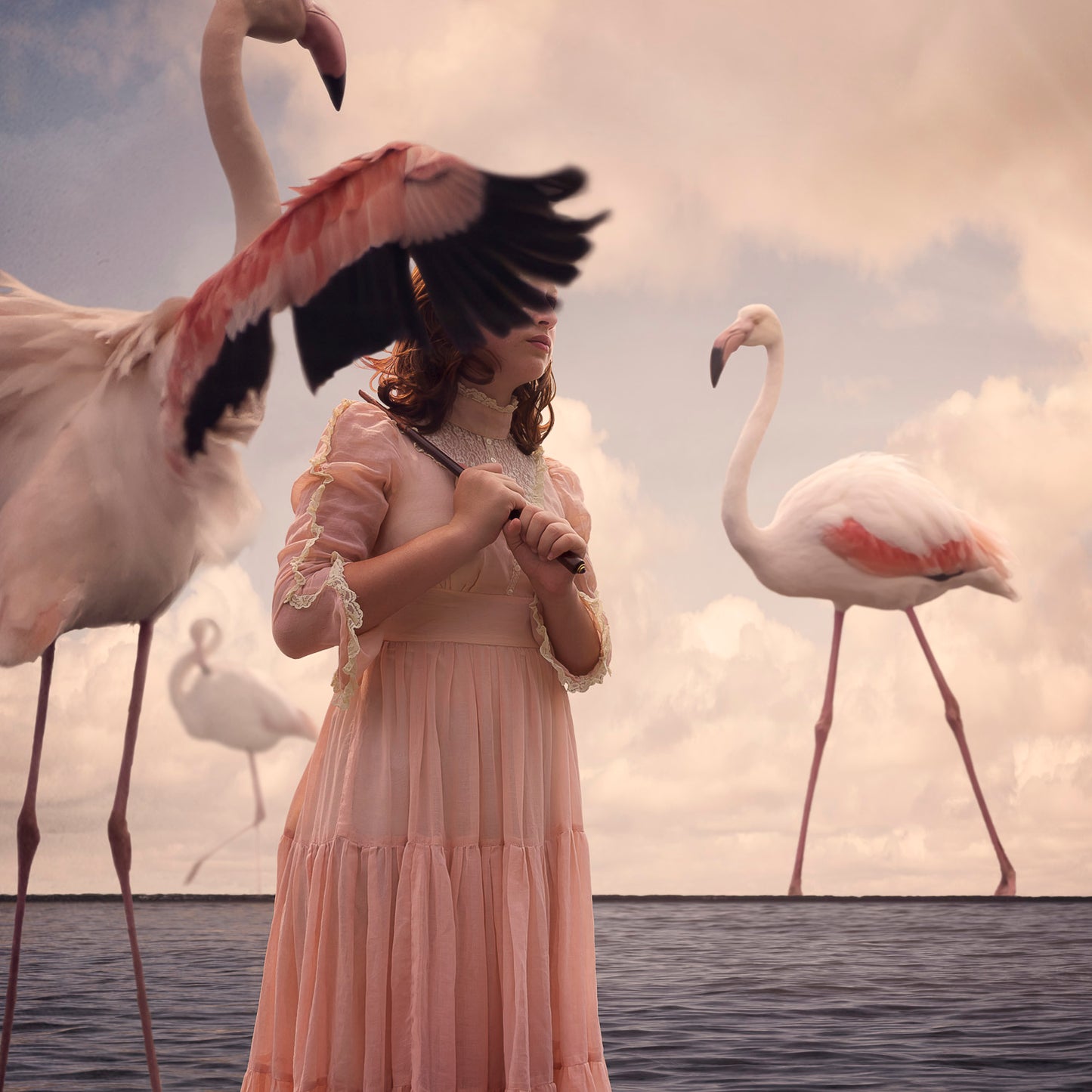 Giclee prints by Marisa S White