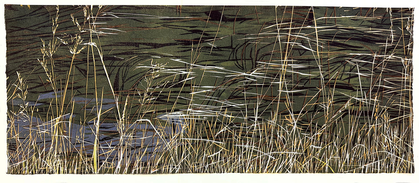 Marshland