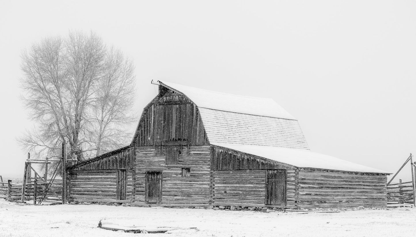 Mormon Barn Snow