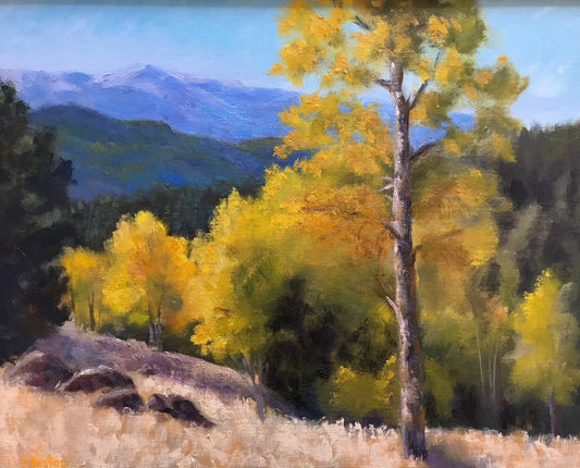 Mueller Aspen