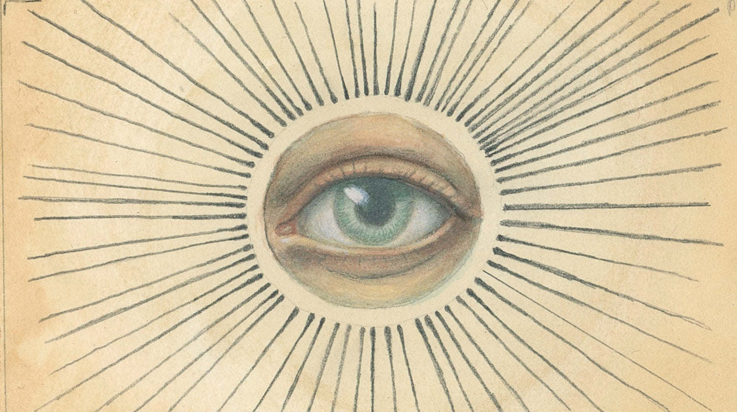 New Sight