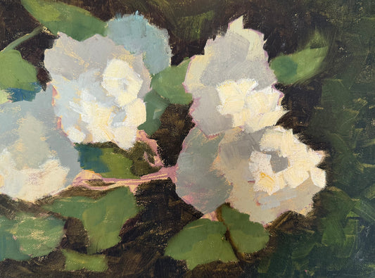 Morning in the Garden