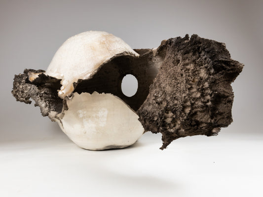 Pierced Vessel 1