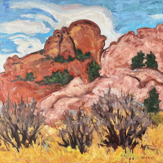 From a Log on Ute Trail (Garden of the Gods)