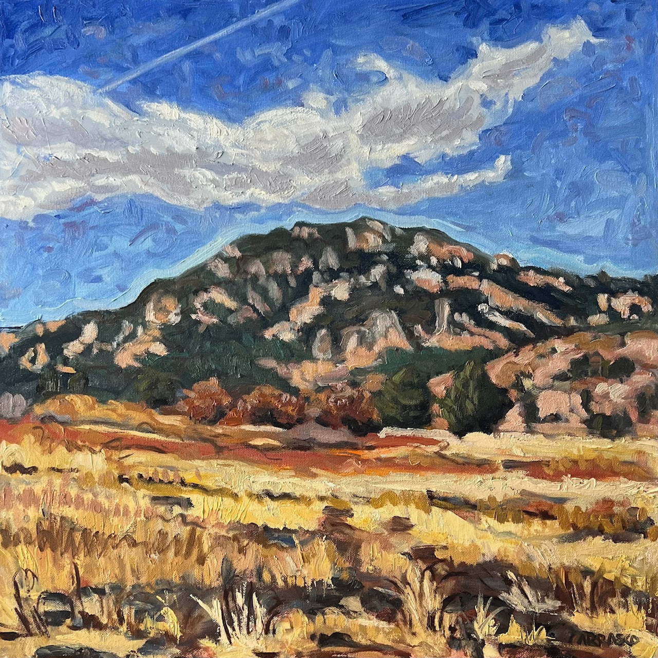 The State Park Has Benches (Talon Trail) – Auric Gallery