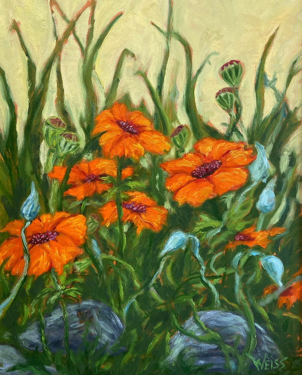 Poppies and Vine