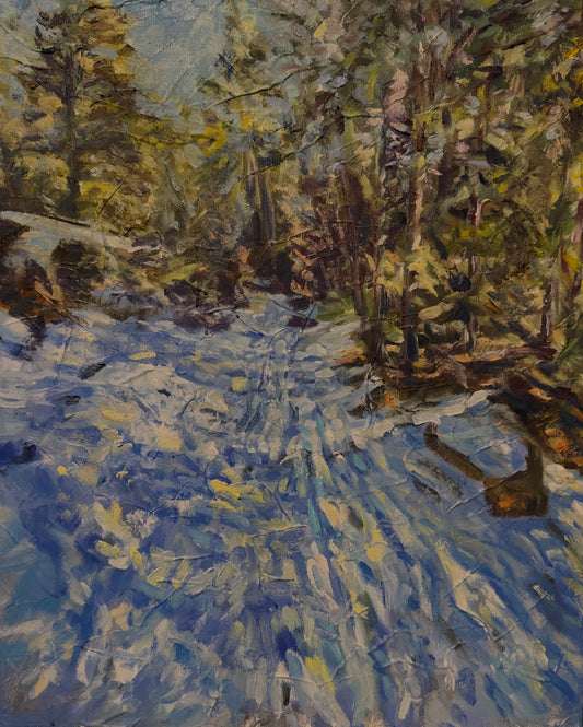 Quiet Beneath the Pines