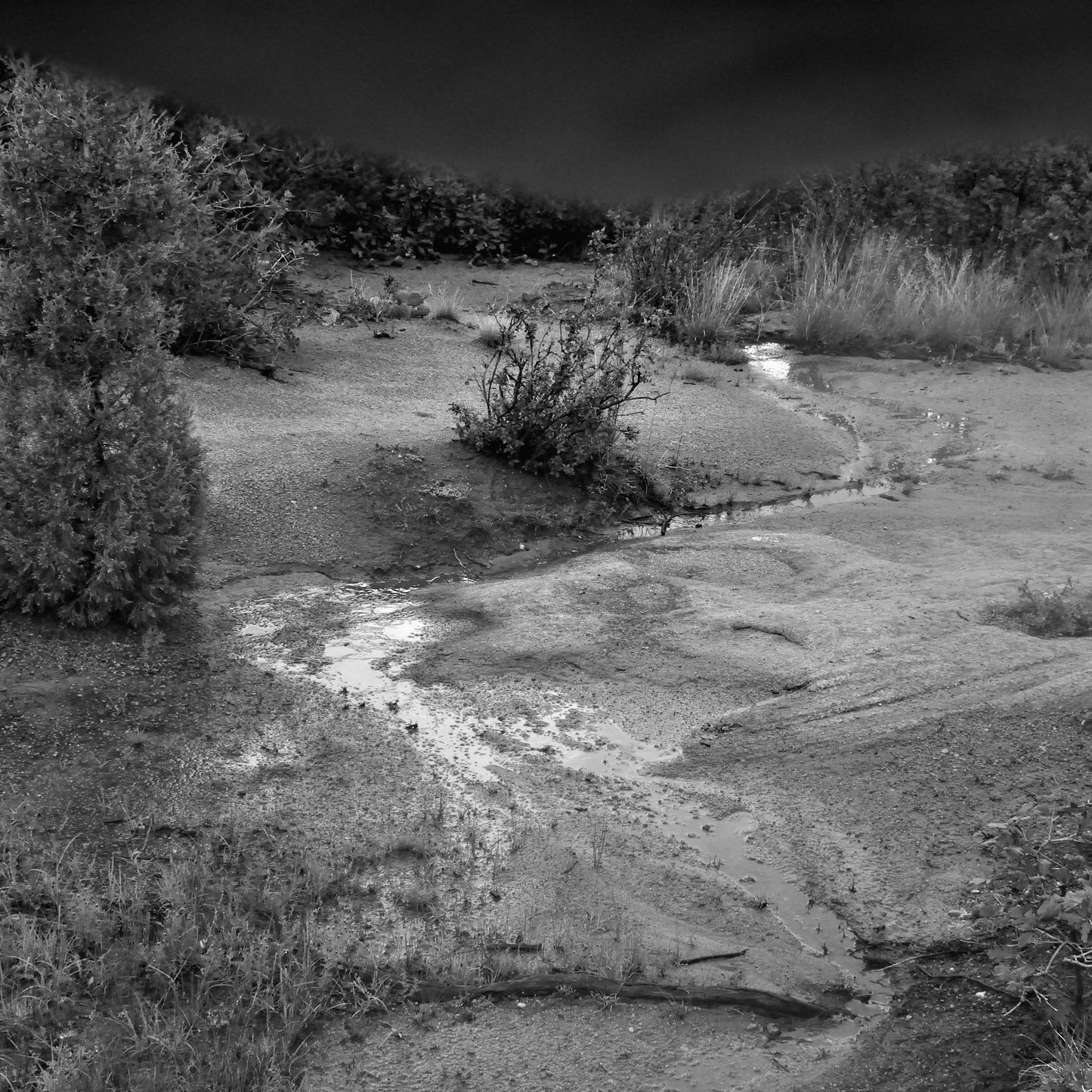 Water, Garden of the Gods, CO, 2022