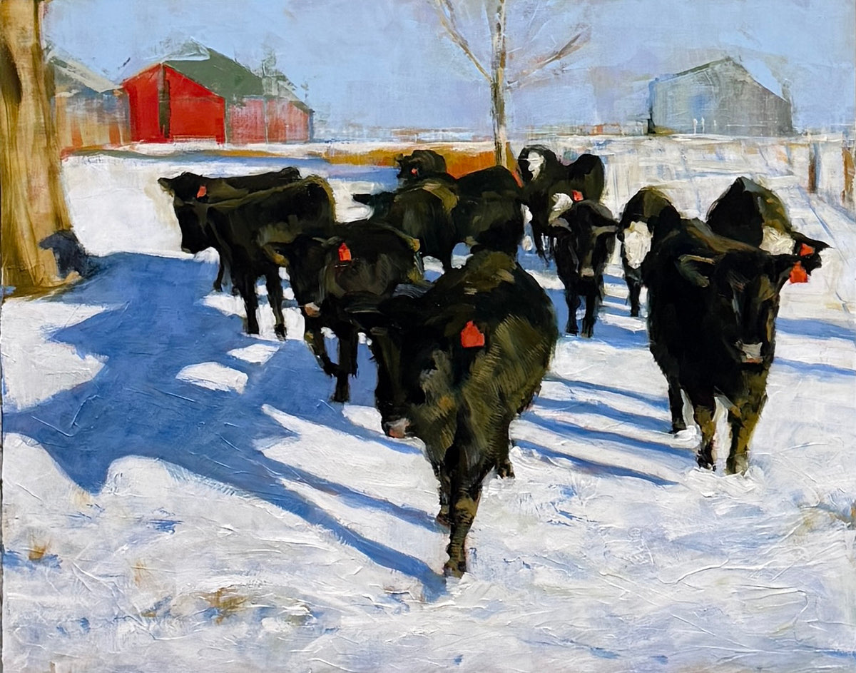 Long Shadows, Short Days