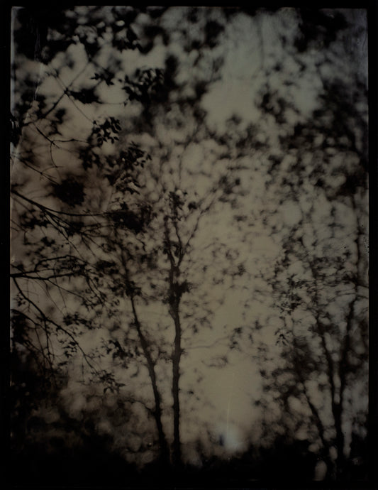 Sentinels Haunting